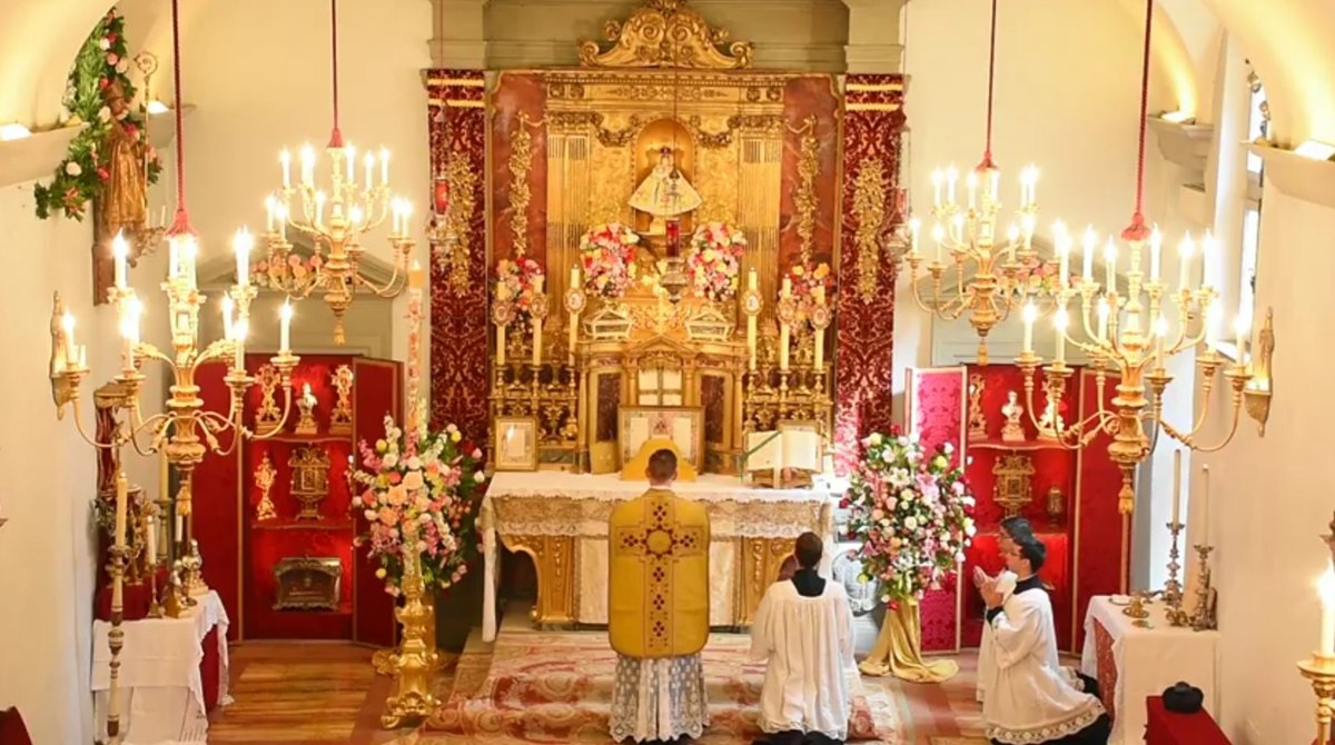 icrsp_rennes's tweet image. Introitum 

"Quasi modo géniti infántes, allelúia : rationabiles, sine dolo lac concupíscite, allelúia, allelúia allelúia."

"Comme des enfants nouveau-nés, alléluia ; désirez ardemment le lait spirituel, alléluia, alléluia, alléluia."

#ICRSP
#ICRSPFrance
#MesseEnDirect
#Messe