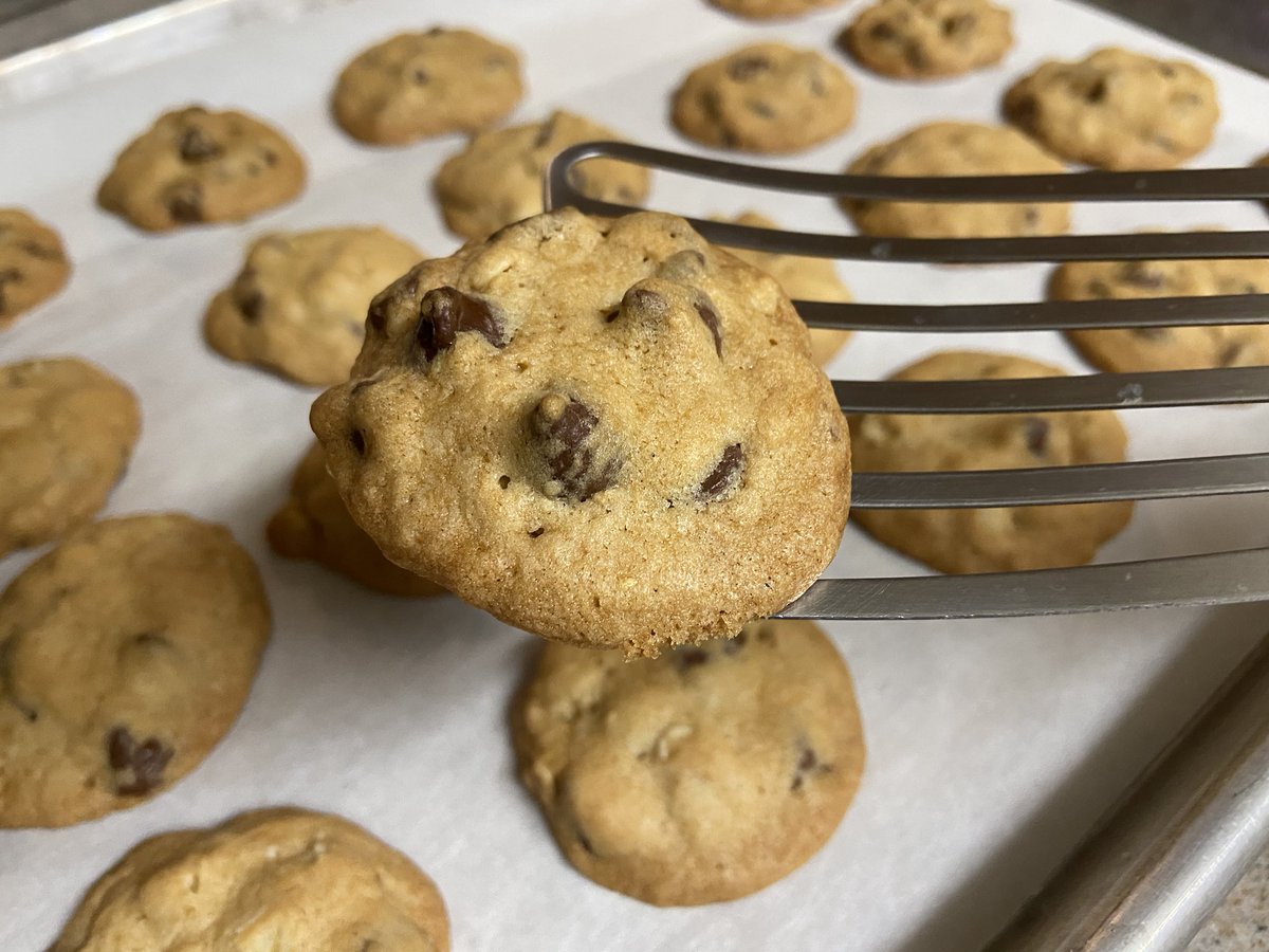 thedailydish's tweet photo. Finally making the famous @DoubleTree chocolate chip cookies! Worth it! #catbakes https://t.co/P0wWuq0FlJ
