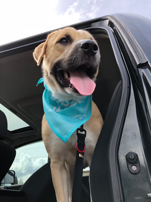 Sorry guys we haven&rsquo;t been on we had to put our baby to rest today... we will miss him so much and we