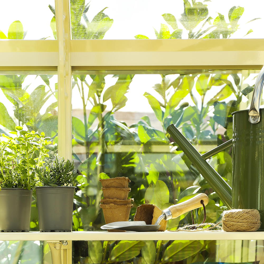 idealhome's tweet image. No garden? No problem, here's how to grow your own veg on a windowsill or balcony ow.ly/Bw6f102e5KQ