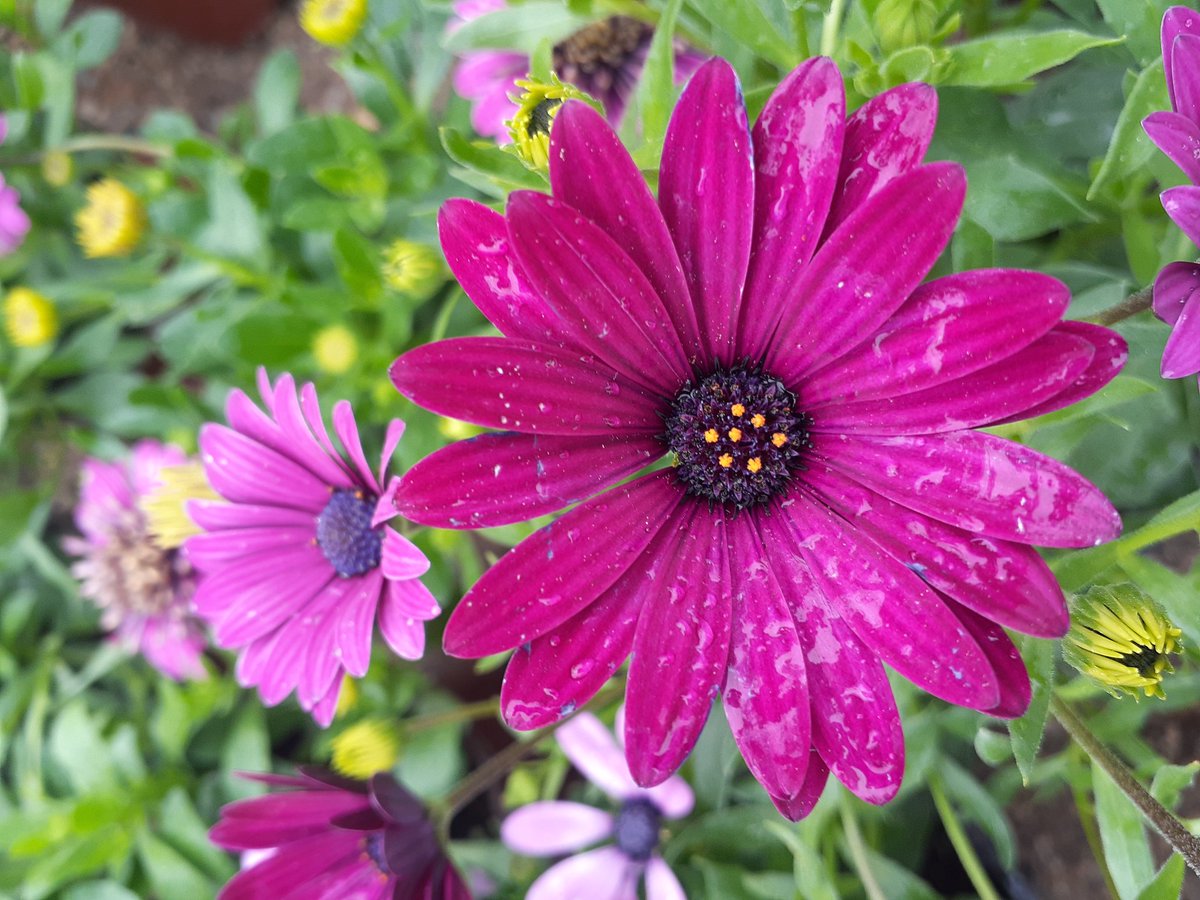 Sabret!!
İşleri zora çevirende Allah, işleri zordan çevirende...Yeter ki sen umudunu yitirme!

GÜNAYDIN🙋‍♀️🌹🌱🐞