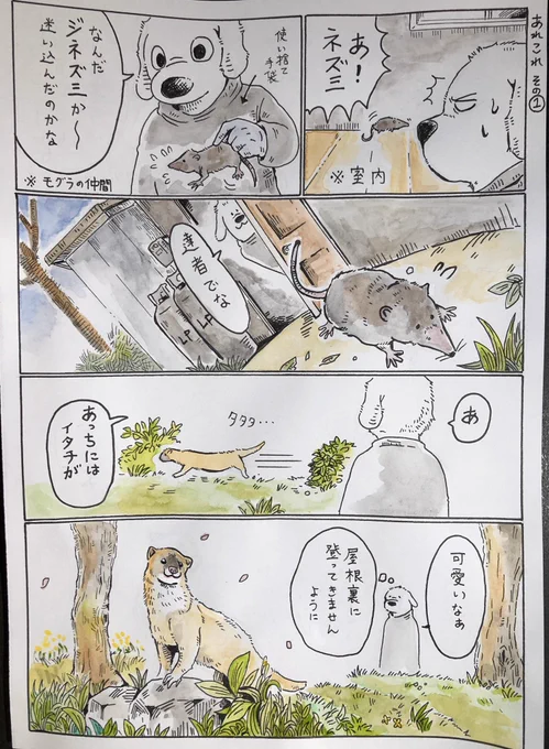 『日常のあれこれ』春になった途端、野生動物を沢山見かけるような気がしていましたが、それはただ単に自分が春に浮かれて外を徘徊しているからだと気付いた令和2年4月。漫画にする必要もない内容だけど、今は外を徘徊し辛いから気晴らしに描いてみました。動物の絵が適当ですみません… 