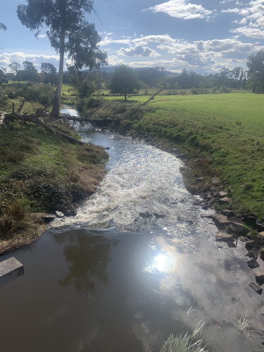 JadieHunter's tweet photo. Appreciating the simple things in life #isolationexercise #Wurundjeri ##LookListenBe https://t.co/M6ABUK8zGV