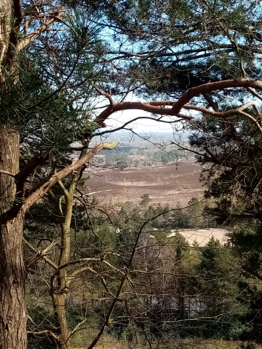 RuffRoot's tweet image. #four #photography #images from #thisweek on semi #lockdown.

#keyworker #cycling #walking #freedom #gratitude #English #WhereIsBoris