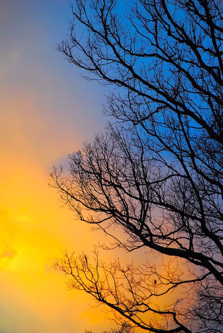 taylor hickson as different colored sunsets; a thread