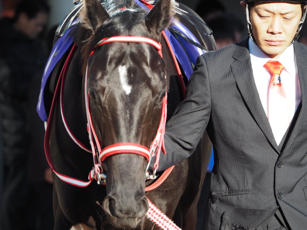 クラシック完全制覇 Twitter Search