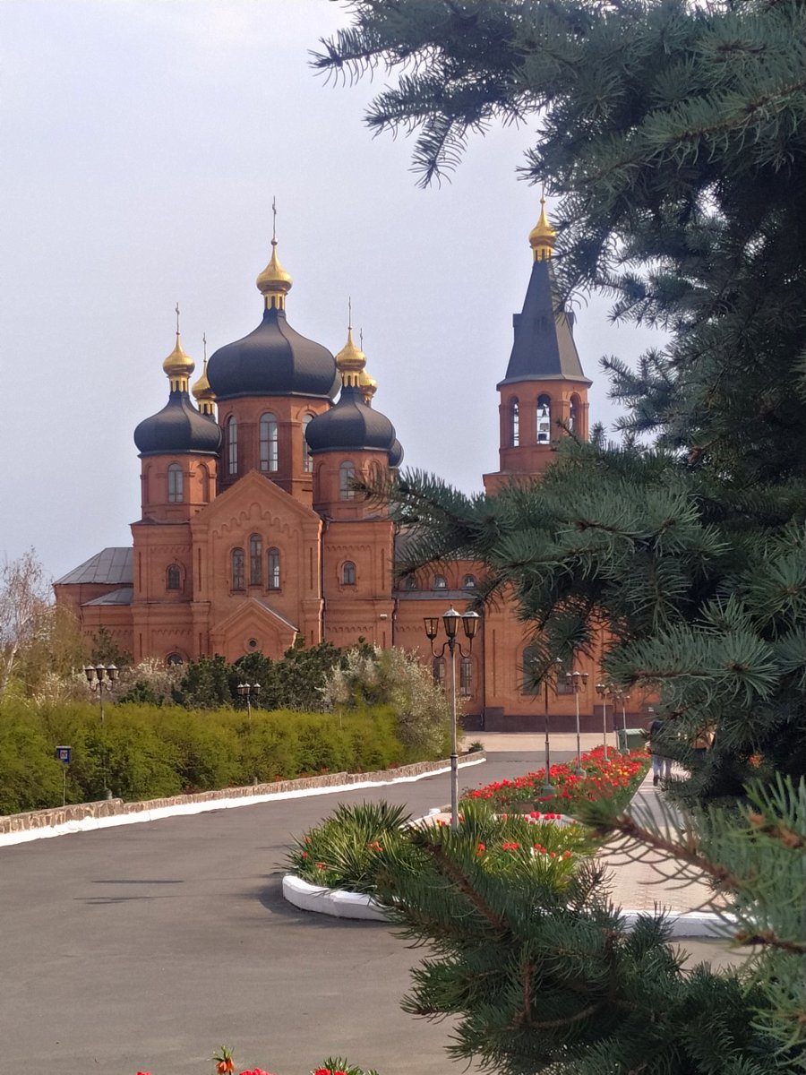 MIgorIv's tweet image. 