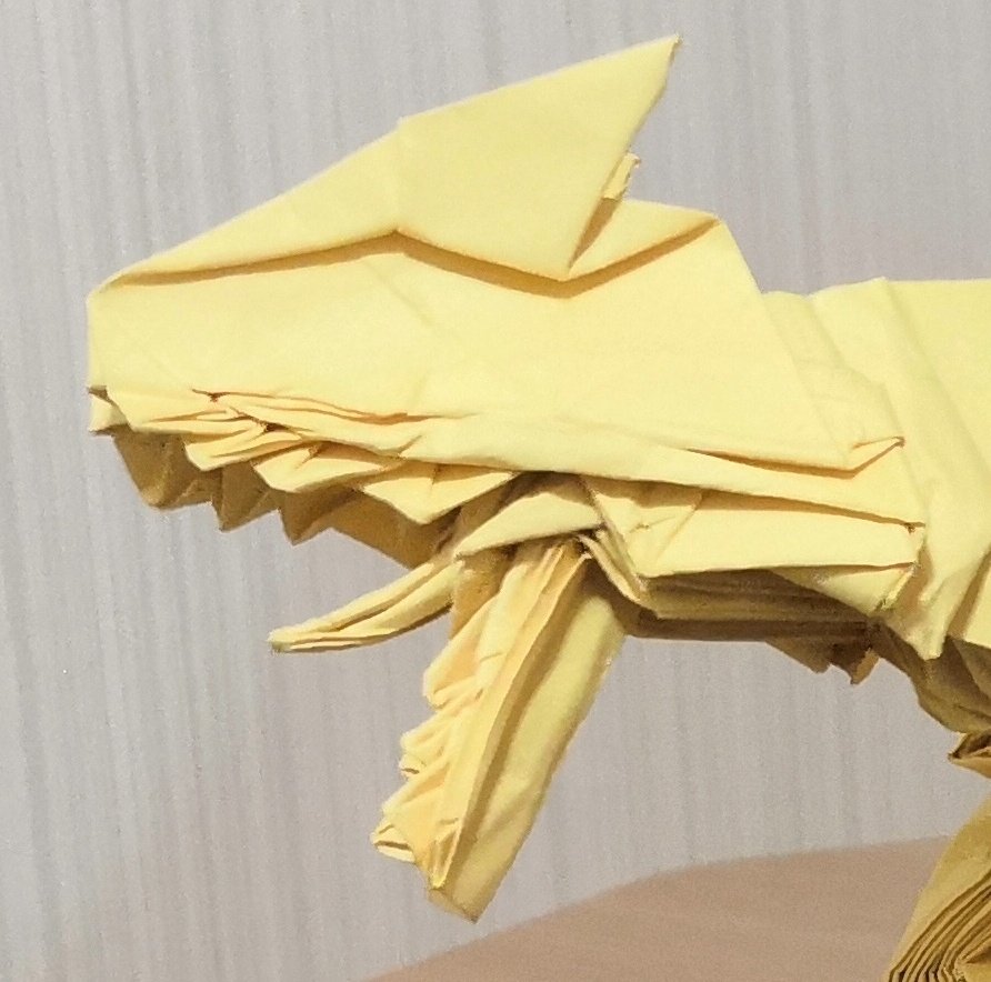 しいたけ アロサウルスの頭を少し改良 分かりにくいけど歯が細くなって上顎の前歯と下顎の奥歯の位置関係が変わりました