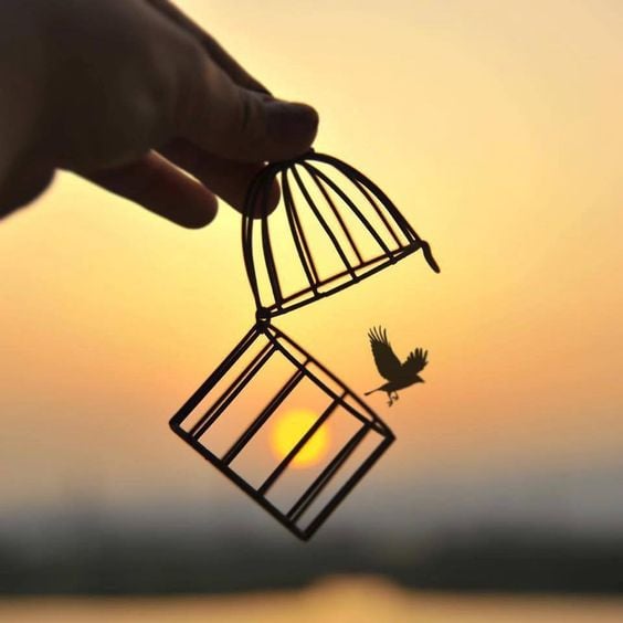 luxxya's tweet photo. "Cuando menos lo esperamos, la vida nos coloca delante un desafío que pone a prueba nuestro coraje y nuestra voluntad de cambio"

Paulo Coelho

#felizdomingoatodos 
#Felizdomingo 
#QuedateEnCasa 
#TogetherAtHome https://t.co/04e1gBekKF