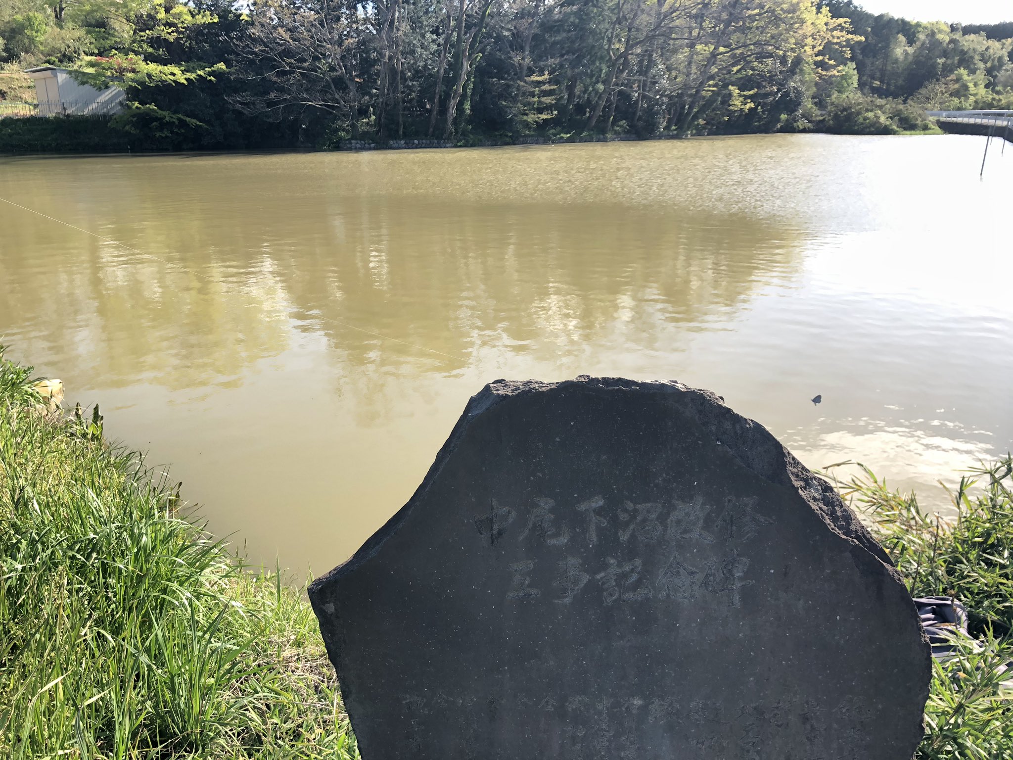 Mcgenki 中休みで 滑川町 の野池探索してきた バサーいっぱいいたな カヤックで釣りしてる人もいた どこも濁ってたし見えバスとか見えなかったけど 全部の野池にバス入ってるのかなぁ たくさんの野池が Mcgenki 中休みで 滑川町 の野池探索してきた バサーいっぱいいたな カヤックで釣りしてる人もいた どこも濁ってたし見えバスとか見えなかったけど 全部の野池にバス入ってるのかなぁ たくさんの野池が