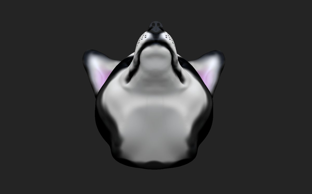Swiggityxd's tweet photo. pickachuy97
The sculpt from today is my favourite pet ever (sadly I haven't be able to get one yet)
#husky #zbrushsculpt #zbrush #pixologic #3dexercise #3dart #3danimals #pets #3d #goodboy https://t.co/reswZi2AFf