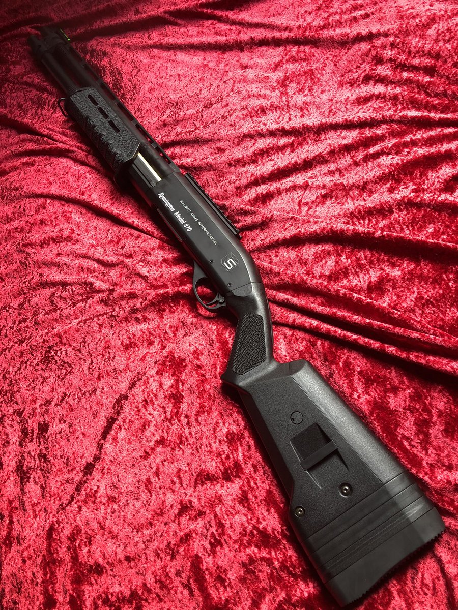 こんにちはショットガンナー様 あなたがTTIカスタムをお好きなのは私も