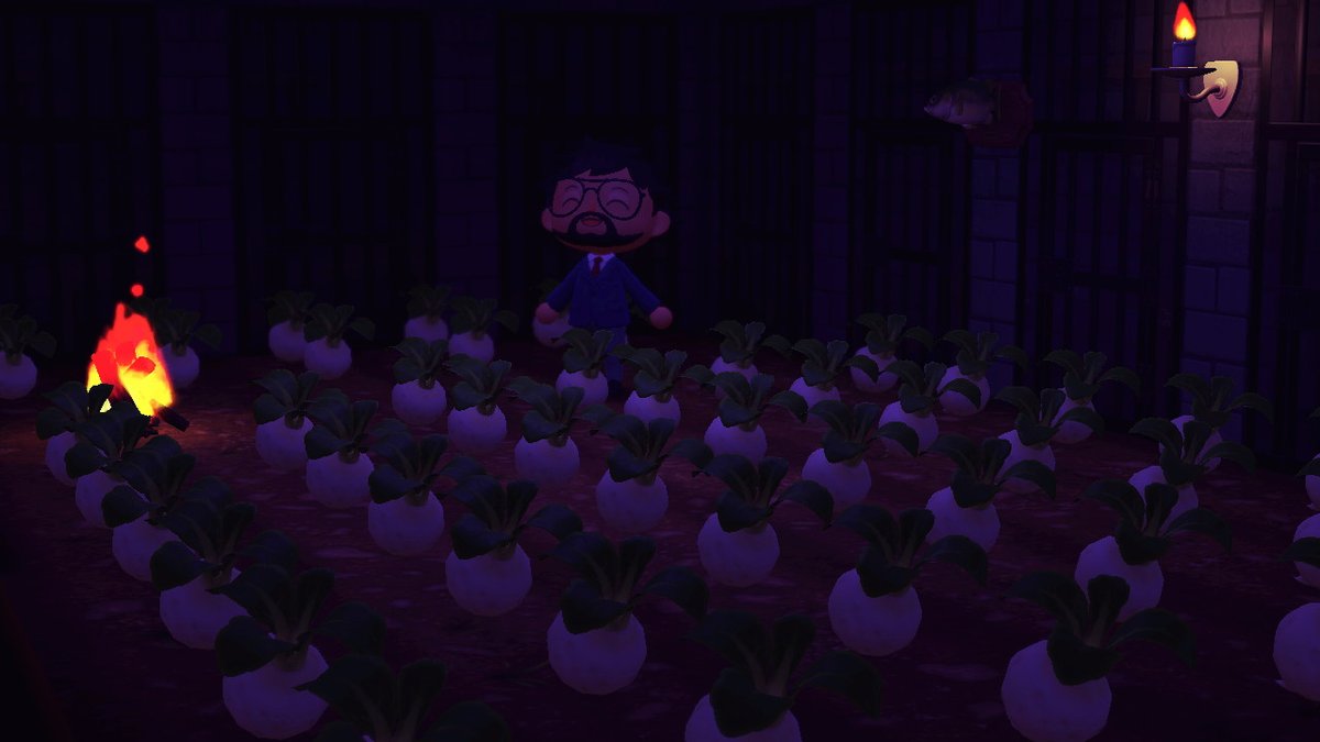 evalbergmadsen's tweet photo. Another Sunday!  #AnimalCrossing #ACNH #NintendoSwitch https://t.co/Hvuc2cWvuL