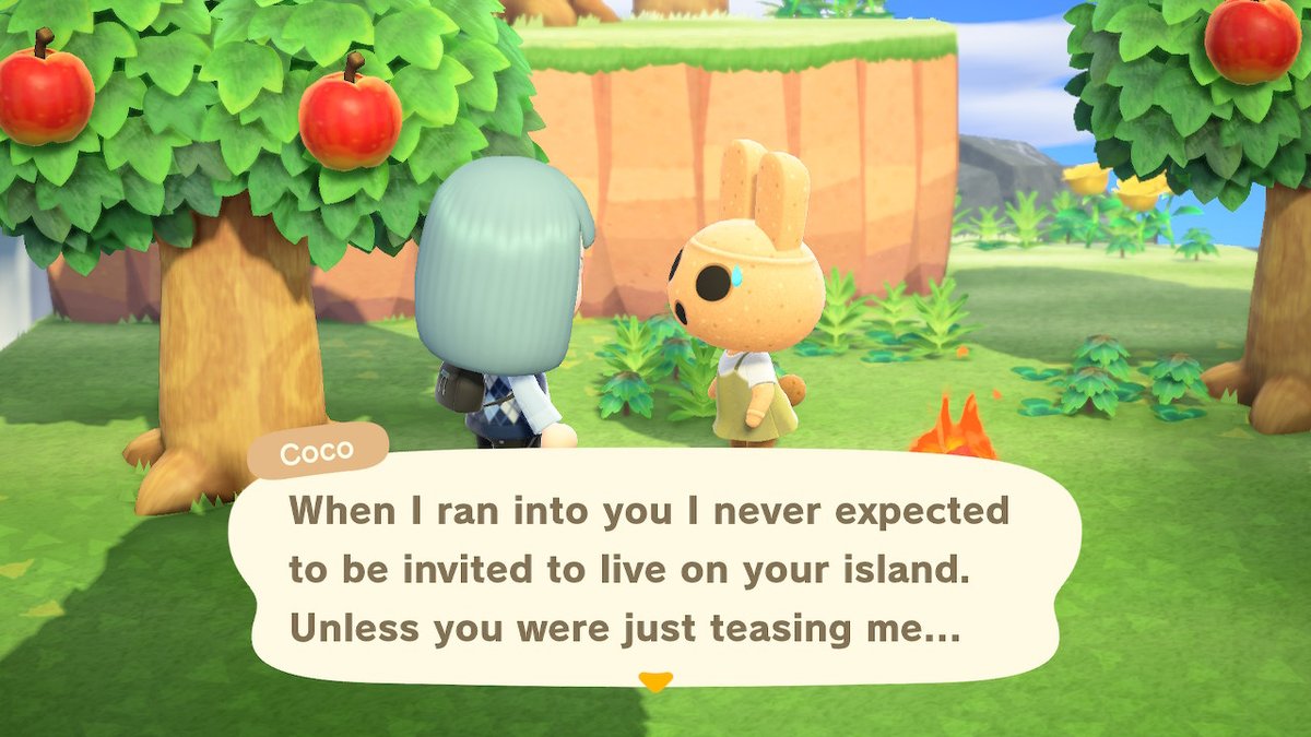 cuddles_plzkthx's tweet image. I&apos;m so happy to have Coco on my island. She moved out of my New Leaf town and I couldn&apos;t stop her..

#AnimalCrossing #ACNH #NintendoSwitch