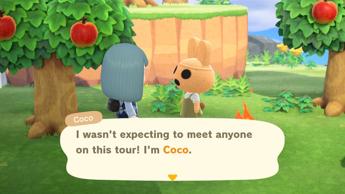 cuddles_plzkthx's tweet image. I&apos;m so happy to have Coco on my island. She moved out of my New Leaf town and I couldn&apos;t stop her..

#AnimalCrossing #ACNH #NintendoSwitch