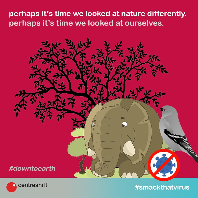 Centreshift_cs's tweet photo. With the COVID-19 #lockdown into effect, #motherearth seems to have rejuvenated itself - smog has given way to blue skies, #waterbodies are seeing more #marinelife, and pollution levels have dropped to a large extent. Humans are encroachment on nature. #Earth can heal itself!! https://t.co/DxNIwKdwUh