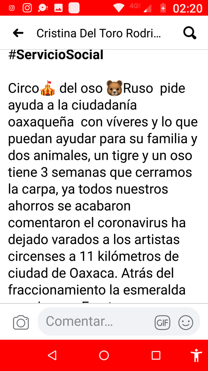 Adoptawow's tweet photo. @PROFEPA_Mx  @SEMARNAT_mx  @AnimaNaturalis  circos sin animales https://t.co/CQe4b38GcX