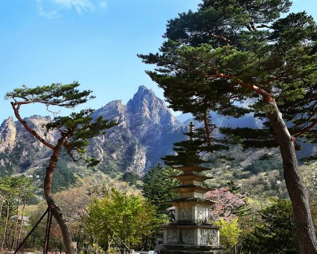 Some info about Gangwon do is 1 hour + drive from seoulIn the east, Seoraksan National Park has mountainside temples and hot springs #HospitalPlaylist