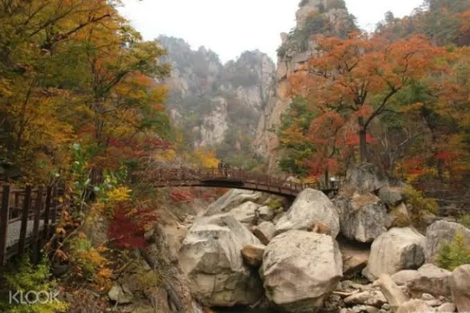 Some info about Gangwon do is 1 hour + drive from seoulIn the east, Seoraksan National Park has mountainside temples and hot springs #HospitalPlaylist