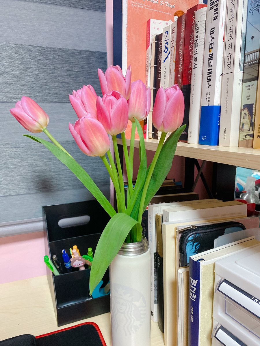 밖에 나갈 수 없으니 집에 봄을 들여본다