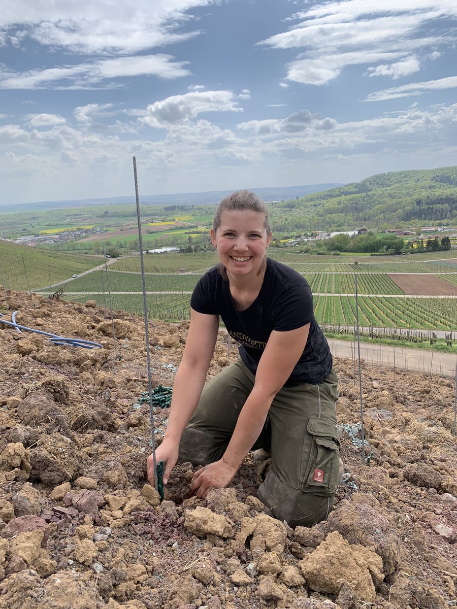 Mara_Walz's tweet photo. #happygirl im #Weinberg - hier entsteht eine neue Anlage für hoffentlich über 30 Jahre! #landwirtschaft #weinbau #nachhaltigkeit https://t.co/ss8mWdLVfy