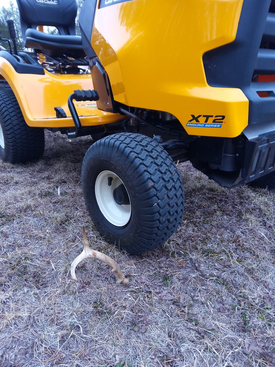 cb_wolfpoint's tweet photo. @CubCadet_USA Finding deer antlers #CubSpring #CubStrongPromo #CubStrong https://t.co/2abYFEoyBY