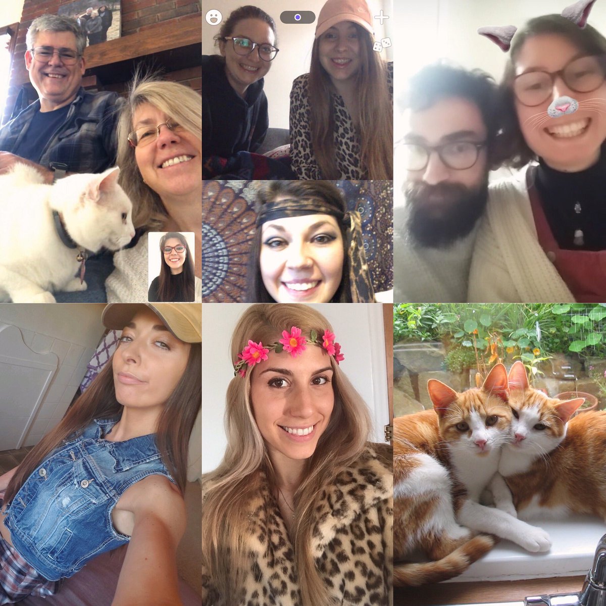 dr_resa_nelson's tweet photo. Started the day off with #twerkclass, #videochatted family &amp; friends all day— my parents cat #pinky made an appearance and so many friends went with my #tigerking/#coolcatsandkittens #29th #virtualbirthday theme 🤣 🐱 🐈 🐯 (2/4) https://t.co/Ci0JaIRJ8b