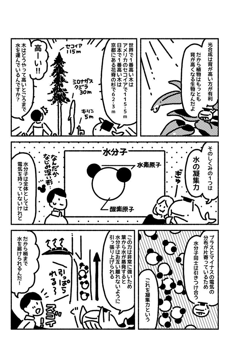 マンガ「若い読者に贈る美しい生物学講義」更新されました??第9章植物は光を求めて高くなる https://t.co/0VH1WHEOr3 