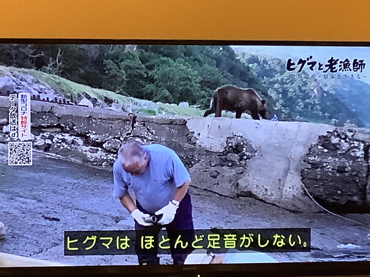 Ebisucho ヒグマと共存している知床の漁師さん そこに居る人間も自然の一部 との一言に感銘 ヒグマと老漁師 Nhkスペシャル T Co Tbrv1mkqpi Twitter