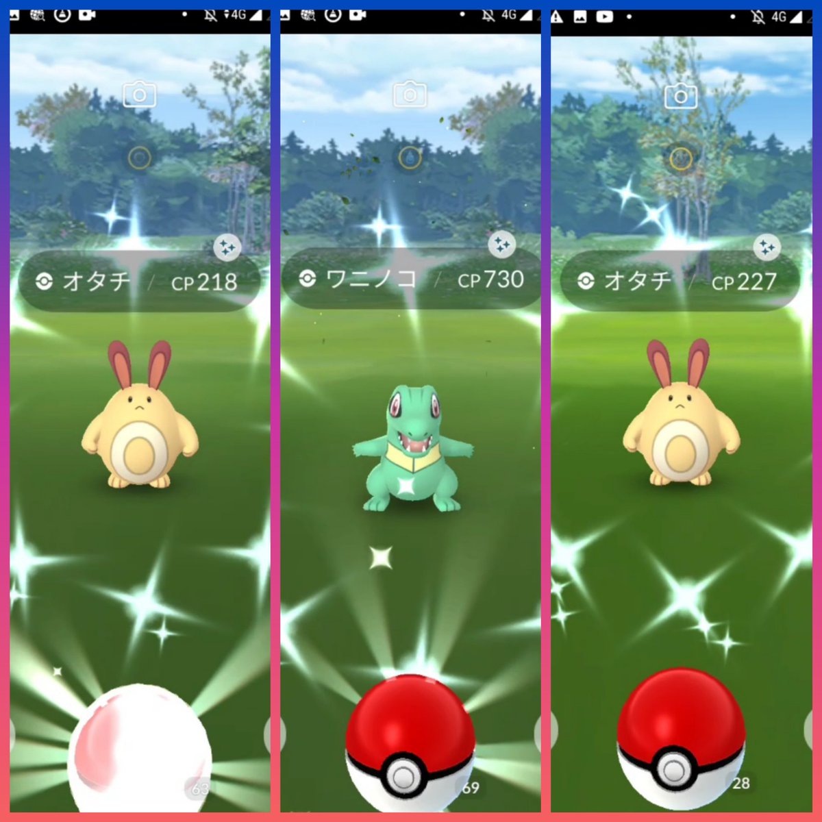 Me ポケモンgoくしろ きょうの おこうイベント 結果はどうでしたか 高個体は出ませんでしたが オタチ 2体 ワニノコ1体の色違いが来てくれました オタチはオオタチに進化させました 手をすりすりしてるのが愛らしいですね オタチ オオタチ