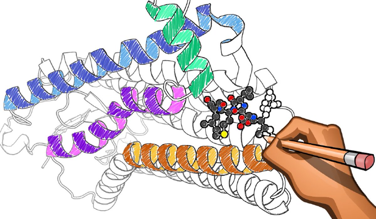 Having a nice, relaxing Sunday but still want you protein structure fix? Then print out some sheets from our protein colouring book and have a bit of protein structure therapy (or give it to the kids to keep them quiet! 😉). Find it here ebi.ac.uk/pdbe/sites/ebi…