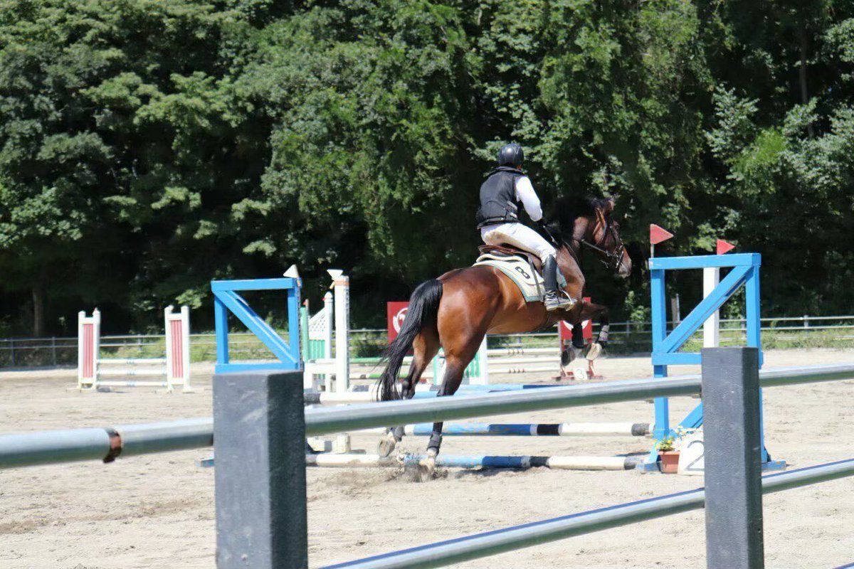 【競技紹介①〜障碍（しょうがい）馬術〜】
実は馬術部にも大会があります❗️今日はその競技うちの一つ、障碍馬術についてご紹介します✨

この競技は、障碍が設置されたコースを、乗馬して通過する技術と時間を競う競技です！