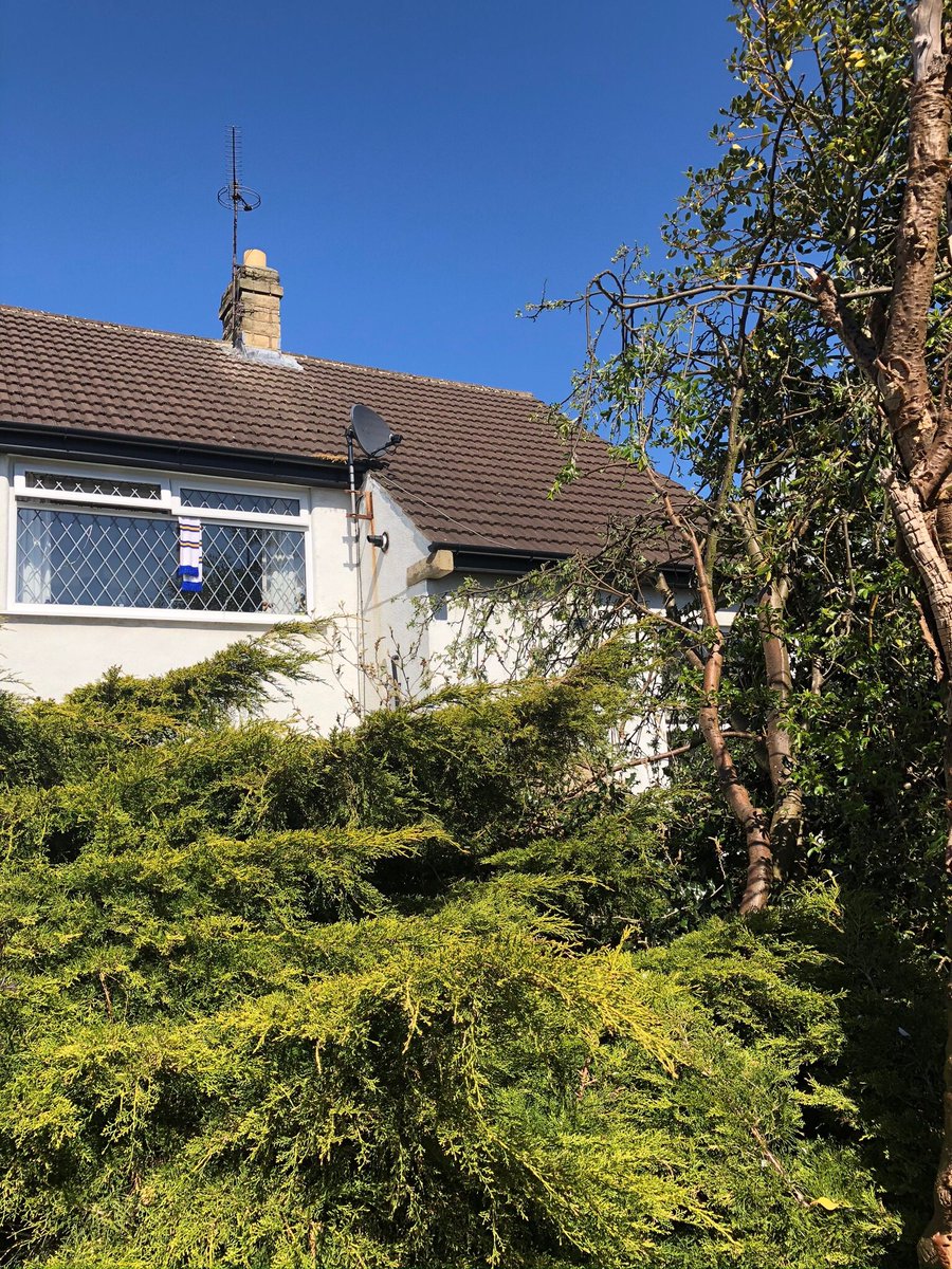 jonlduke62's tweet image. #hangyourscarvesfornorman