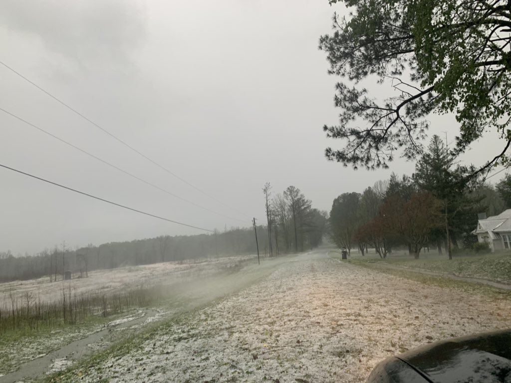 Aidenwxman's tweet photo. So much damage in Alex city !@weswyattweather @spann https://t.co/BWBeKuAoZf