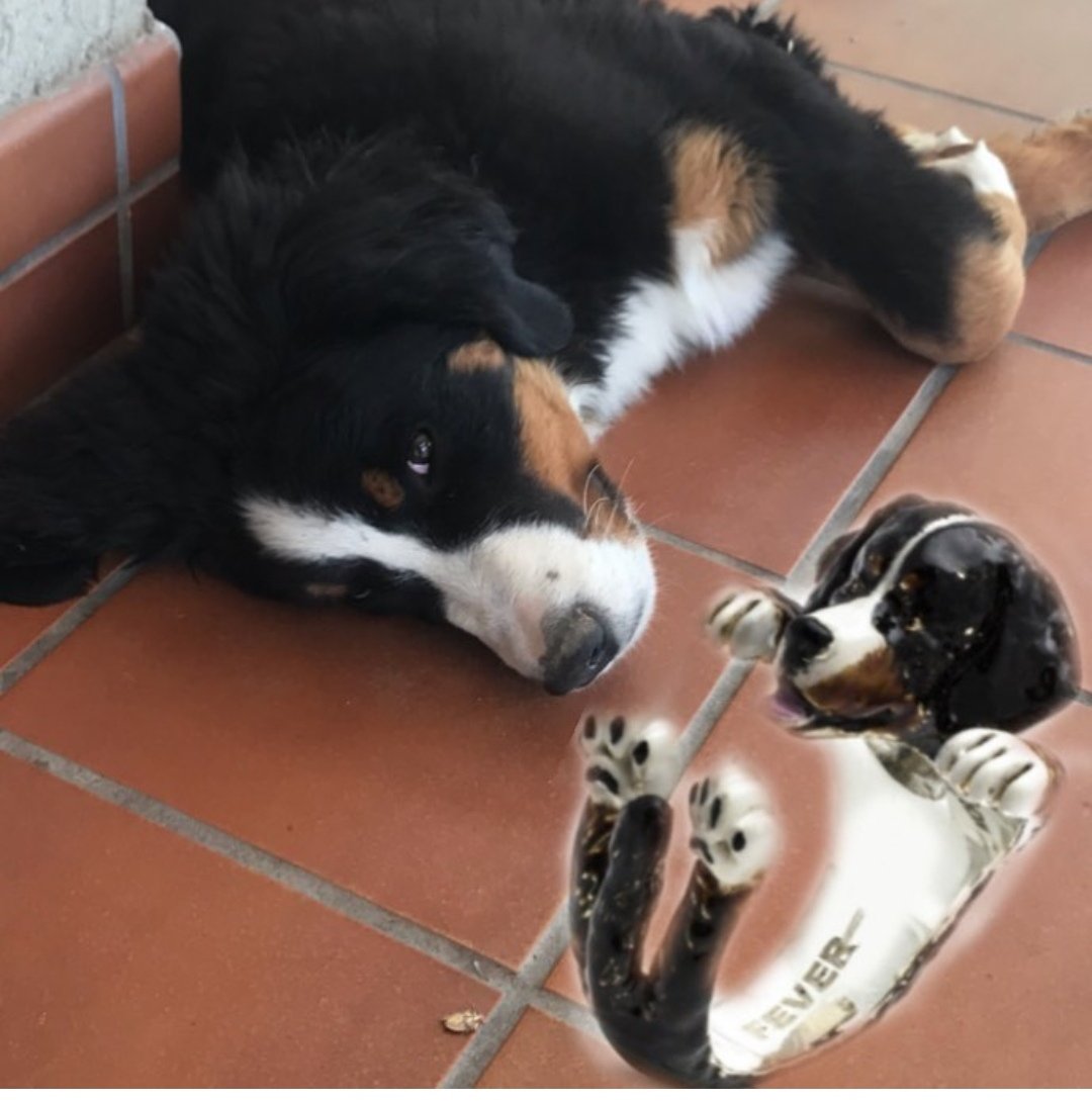 RisiSilvia's tweet photo. Per ogni #gioiello c'è un #ricordo...
Questo #anello parla di una coda che ti scodinzola #felice e di due occhi che ti guardano con #amore❤️ #freeshipping #dog #bologna #bovarodelbernese #likeforlike #animalsathome #shoppingbologna #amoglianimali #ring #dogring https://t.co/6Wau1fq2UW