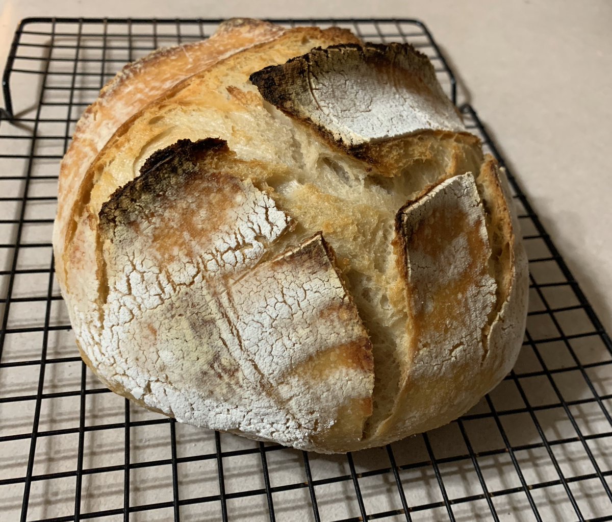 chrispcall's tweet photo. This started as flour and water 2 weeks ago. Itβs just flour and water. #lottawork #firstloaf #whocaresabouttaste https://t.co/vPJBAfSHNL