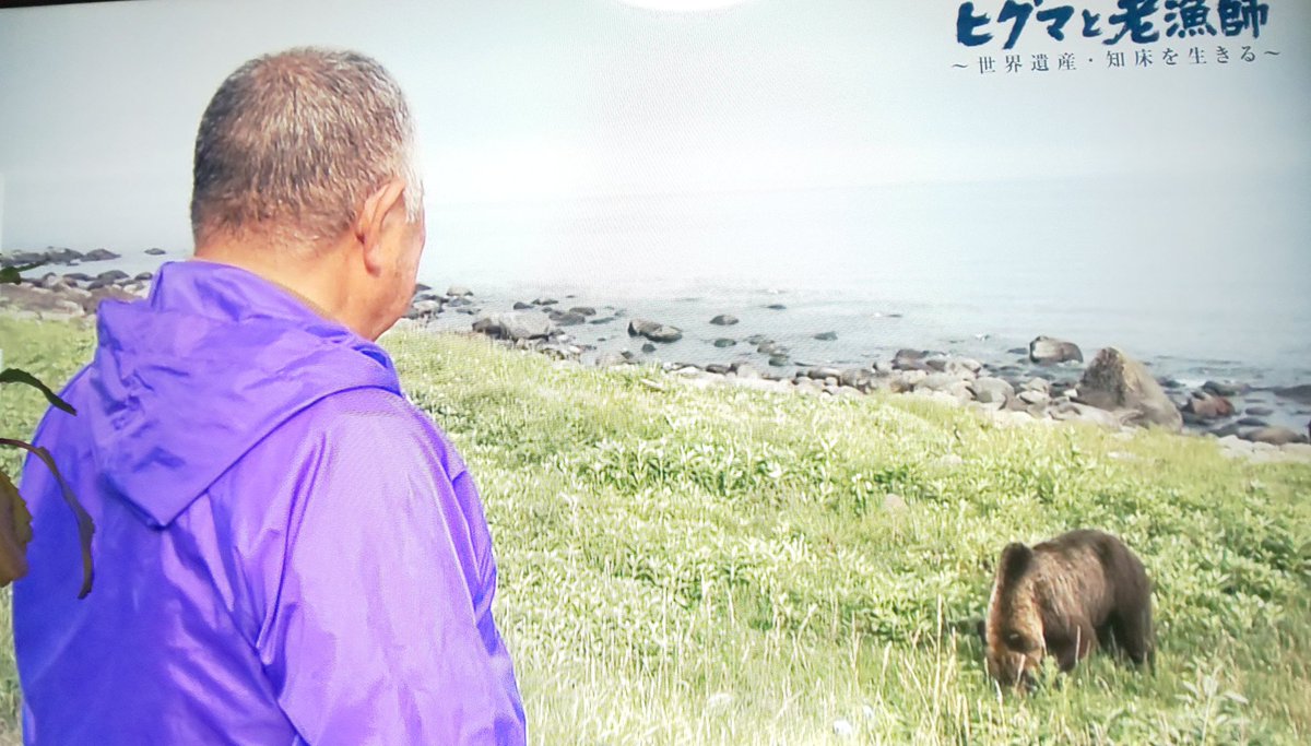 ヒグマ と 老 漁師