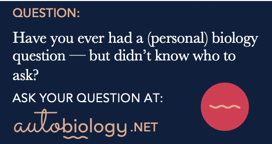 braincelling's tweet photo. https://t.co/UW9BBADsN4 https://t.co/RagCPpqjFU
