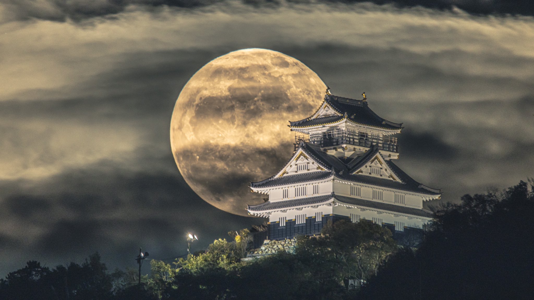 Jigurohiro Photo 岐阜県民がトレンド入りしてるとの事で かっこいい岐阜城を載せておきます コロナが落ち着いたら是非ともお越し下さい 岐阜県民 東京カメラ部 麒麟がくる 岐阜城と月 岐阜城 岐阜県 T Co K2hgo6oovq Twitter