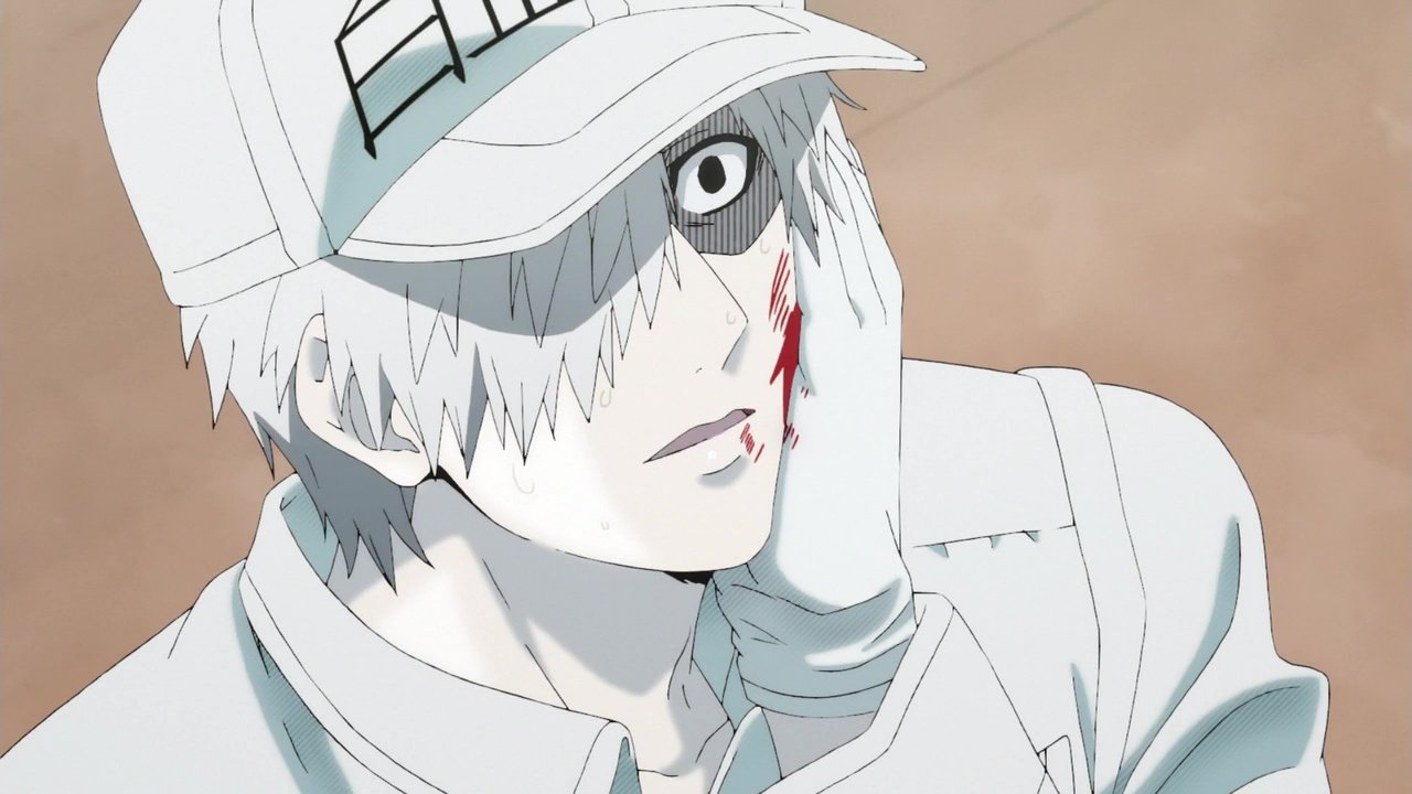 White Haired Anime Boy Of The Day Today S First White Haired Anime Boy Of The Day Is White Blood Cell U 1146 From Hataraku Saibou Cells At Work T Co Gpqyr7cckc Twitter