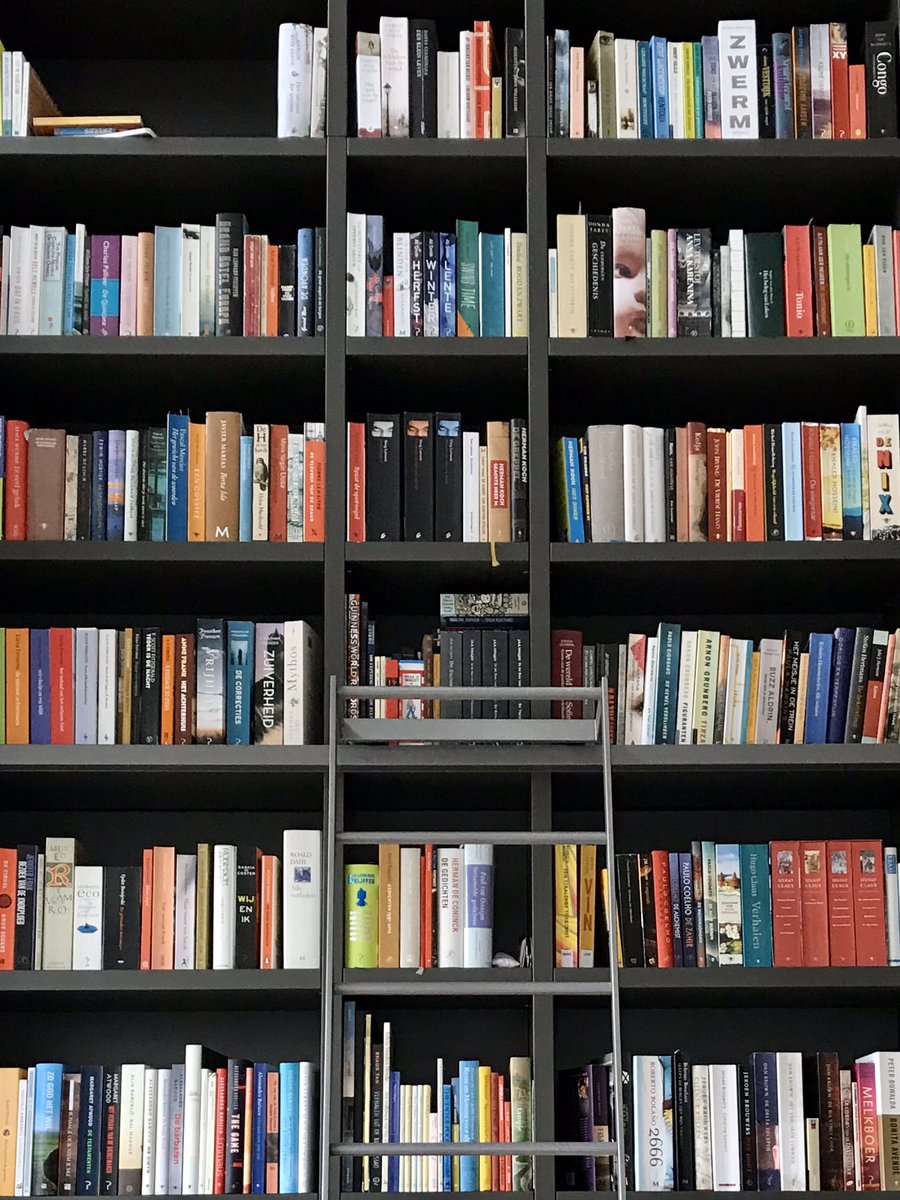 ilse janssens tweet media