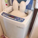 旦那が｢洗濯する方法教えて｣って言うから見に行ったら!ごめんこれは私にも分からないわ!