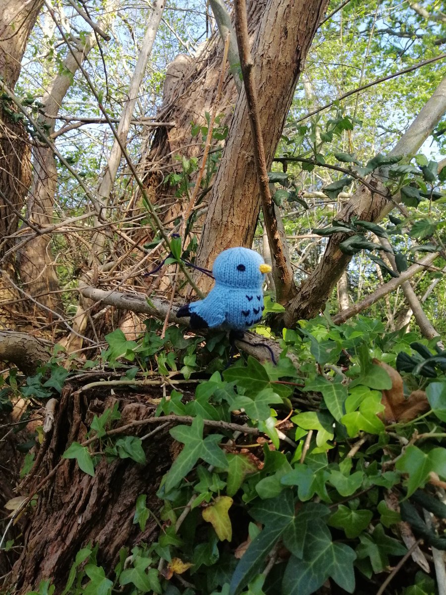 kevman1982's tweet photo. Glad to see "nature" thriving since lockdown on this morning's dog walk... #lockdown #nature https://t.co/2bxfu2acoX