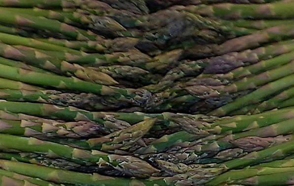 Home delivery ￼We are now harvesting  our beautiful fresh asparagus￼ grown ￼on our farm Ramsholt minimum order £25 pays for standalone delivery or £10 kg if combined with a fish order￼￼￼ .
delivery home Woodbridge Ipswich Area ￼￼register simpersoframsholt.co.uk ￼￼￼