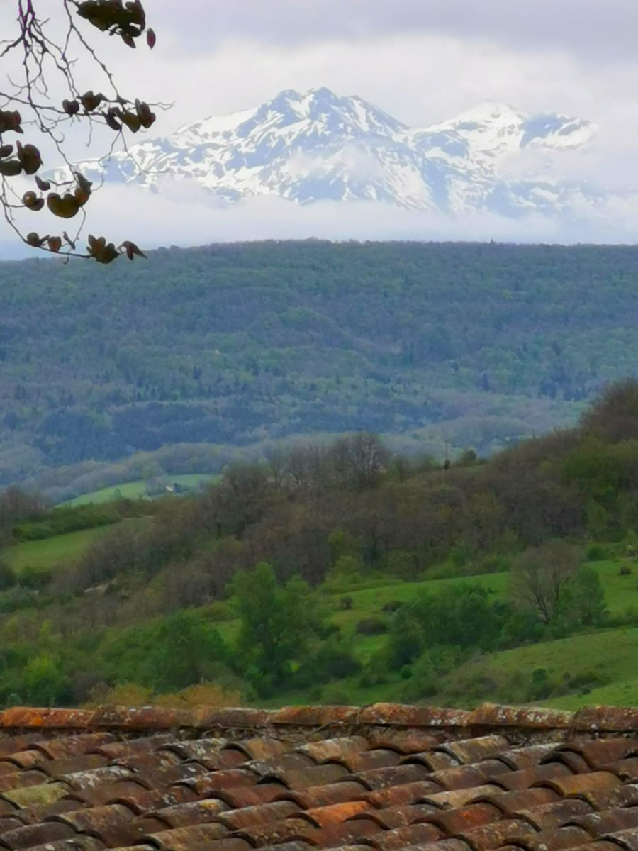 Château de Chalabre tweet media