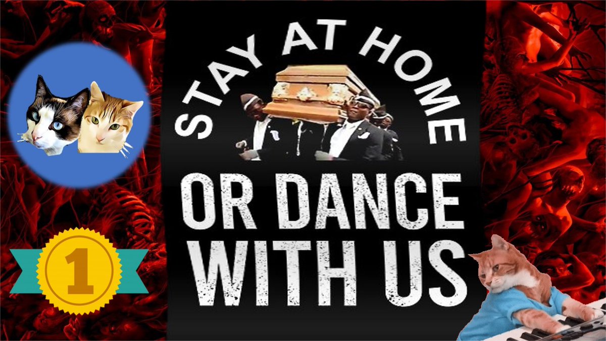 mcflyelsa's tweet photo. Coffin Dance Meme CAT Edition
Watch new mcfly Mcfly &amp; Elsa quarantine famous meme video
Right pointing backhand index
👉📺https://t.co/X20iLHLjj4
.
.
.
#coffindance #dancingfuneral #coffindancememe #QuedateEnCasa #CatsOfTwitter #catlovers #Caturday #cats #Kitty #negrosdelataud https://t.co/CL6pPB752U