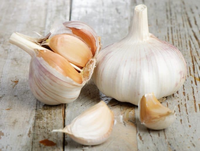 DrKathleenHall's tweet image. National Garlic Day 
#garlicday #benefitsofgarlic #mindfulmoments #mindfulhealth
mindfullivingnetwork.com/garlic-day/