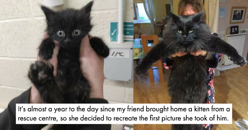 ThePoke's tweet photo. Just 19 nice things to try and make you smile.
https://t.co/S9xK1rqjkZ https://t.co/UxME3O20Wh