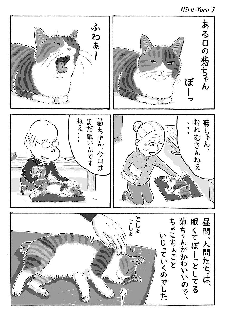 2ページ猫漫画「ある日の昼と夜」 #猫の菊ちゃん 
