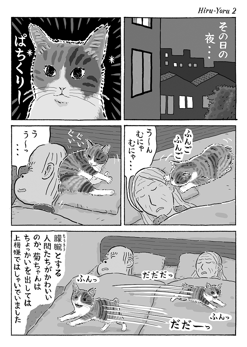 2ページ猫漫画「ある日の昼と夜」 #猫の菊ちゃん 